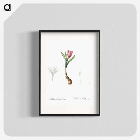 2-83_The-Lilies_blk