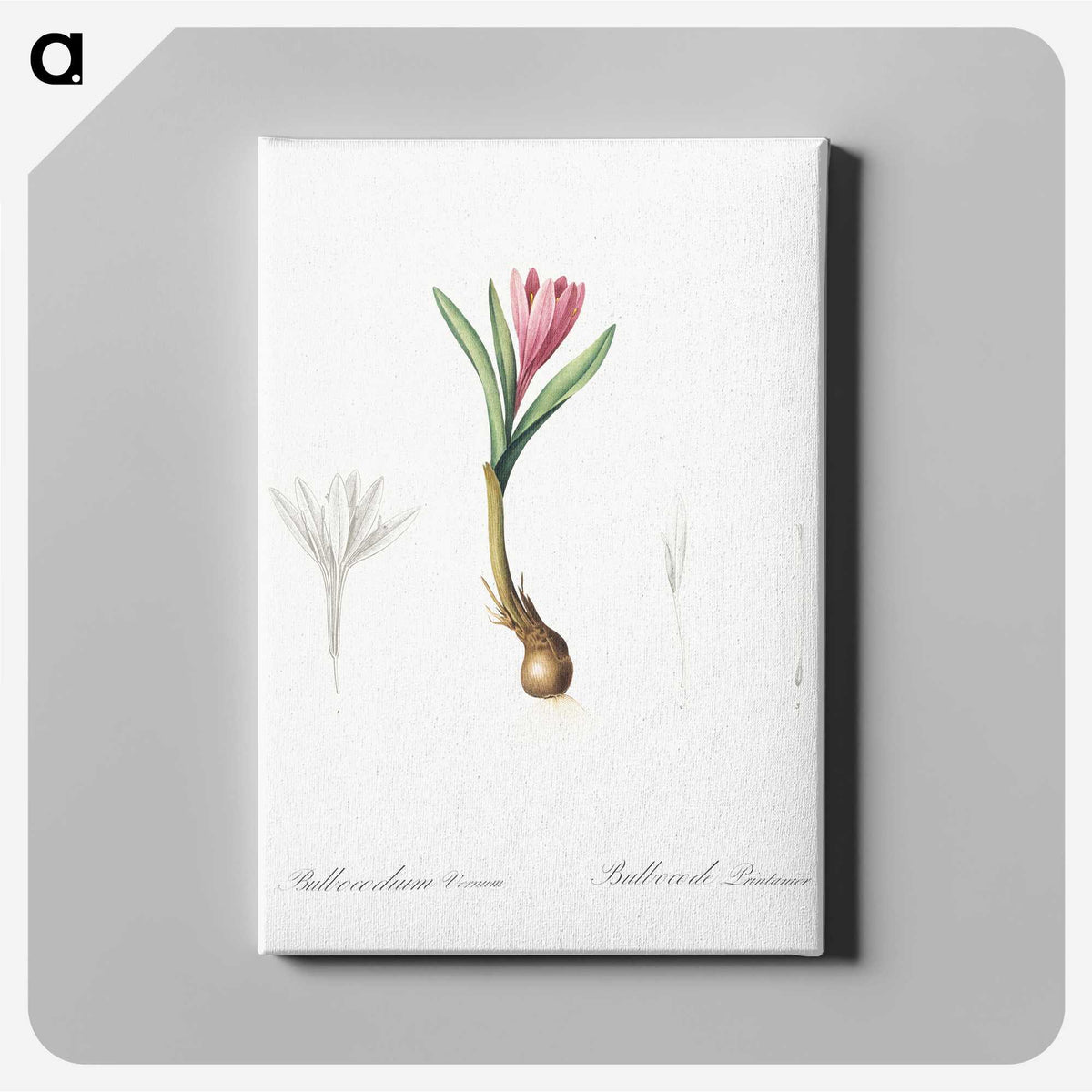 2-83_The-Lilies_canvas