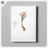 2-83_The-Lilies_canvas