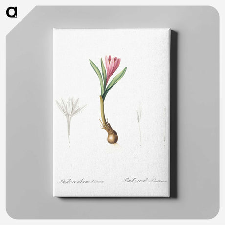 2-83_The-Lilies_canvas