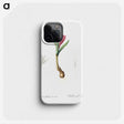 2-83_The-Lilies_phone