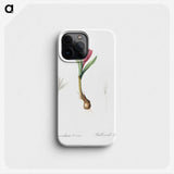 2-83_The-Lilies_phone