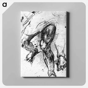 アートパネル-Study of legs - ティツィアーノ ヴェチェッリオ Canvas.