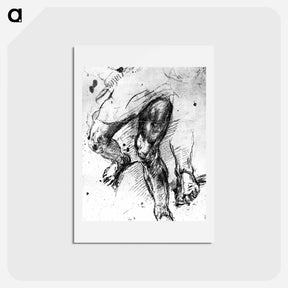 アートポストカード-Study of legs - ティツィアーノ ヴェチェッリオ Postcard.