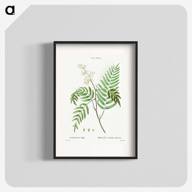 2-83_Treatise-on-Trees-and-Shrubs_blk