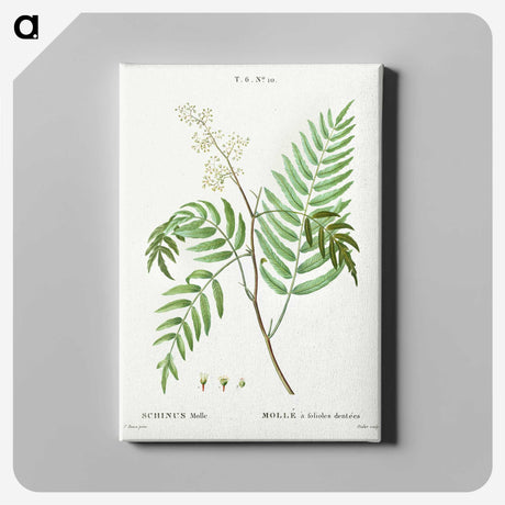 2-83_Treatise-on-Trees-and-Shrubs_canvas