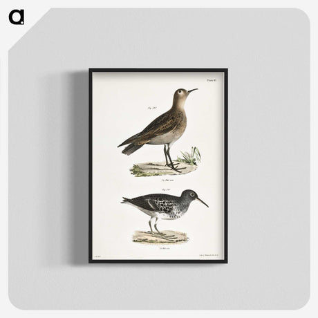 2-83_Zoology-of-New-York_blk-crop