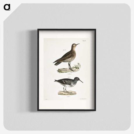 2-83_Zoology-of-New-York_blk