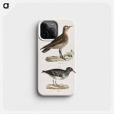 Buff-breasted Sandpiper (Tringa rufescens) 198. Purple Sandpiper (Tringa maritima) illustration from Zoology of New York by - ニューヨークの動物学 Phone Case.