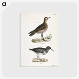2-83_Zoology-of-New-York_postcard