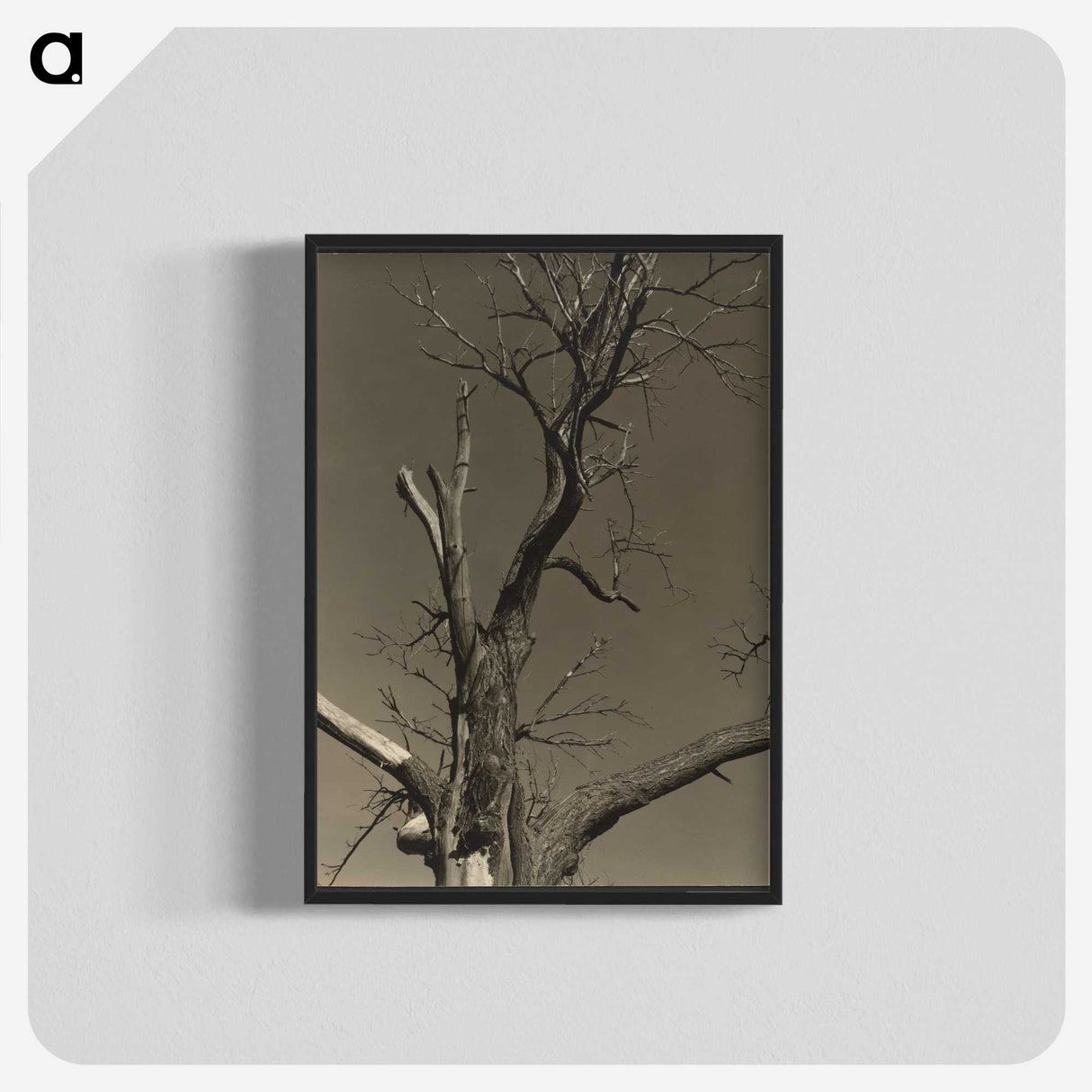 2-84_Alfred-Stieglitz_blk-crop