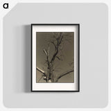 2-84_Alfred-Stieglitz_blk