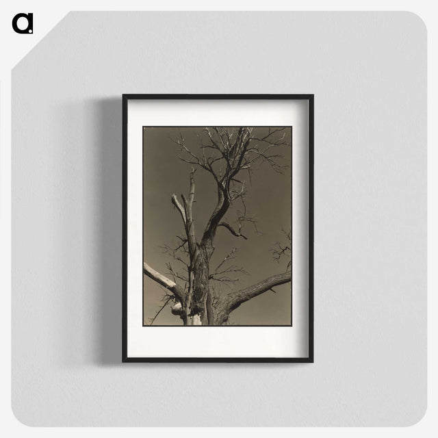 2-84_Alfred-Stieglitz_blk