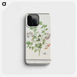 2-84_Anselmus-Boetius-de-Boodt_phone