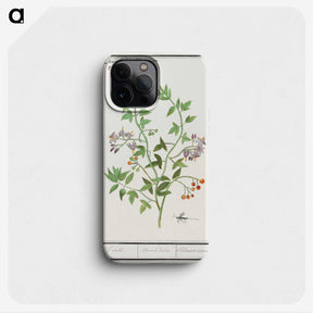 2-84_Anselmus-Boetius-de-Boodt_phone