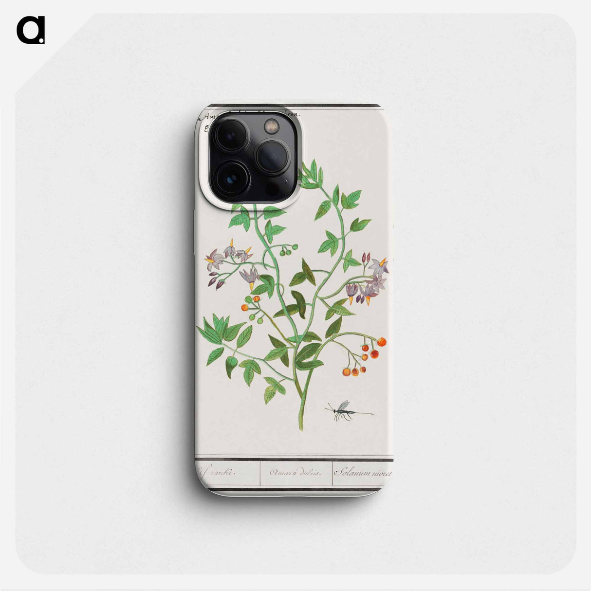 Bittersweet, Solanum dulcamara - アンセルムス ボエティウス デ ブート Phone Case.