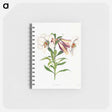 アートメモ帳-Japanese Lily
 - クリーブランド美術館 Memo.