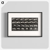 2-84_Eadweard-Muybridge_blk