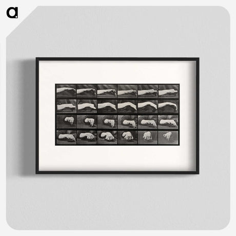 2-84_Eadweard-Muybridge_blk