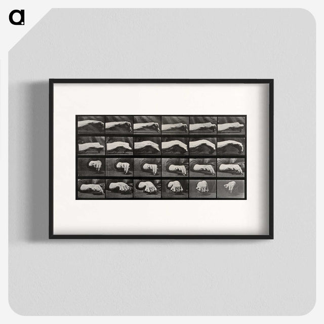 2-84_Eadweard-Muybridge_blk