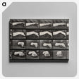 2-84_Eadweard-Muybridge_canvas