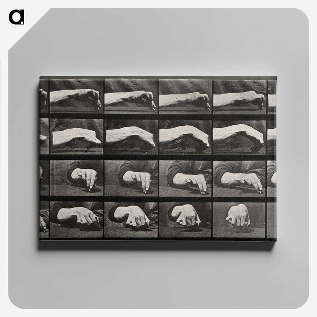 2-84_Eadweard-Muybridge_canvas