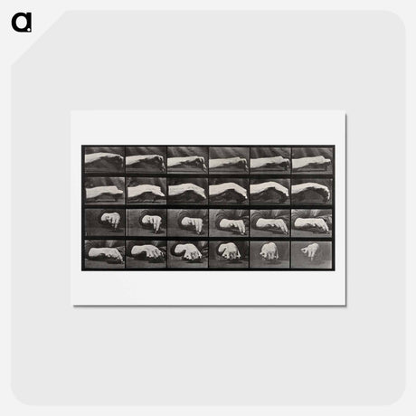 アートポストカード-Hand Drawing a Circle
 - エドワード マイブリッジ Postcard.