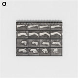 2-84_Eadweard-Muybridge_memo