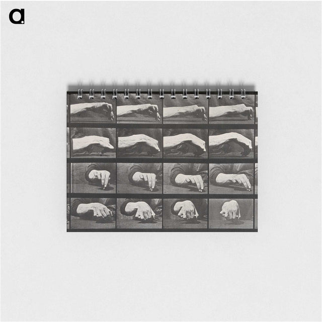 2-84_Eadweard-Muybridge_memo