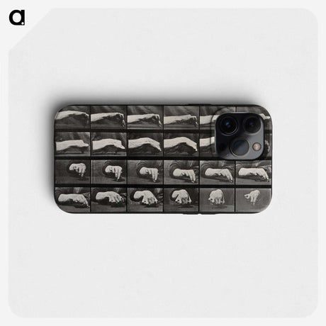 2-84_Eadweard-Muybridge_phone