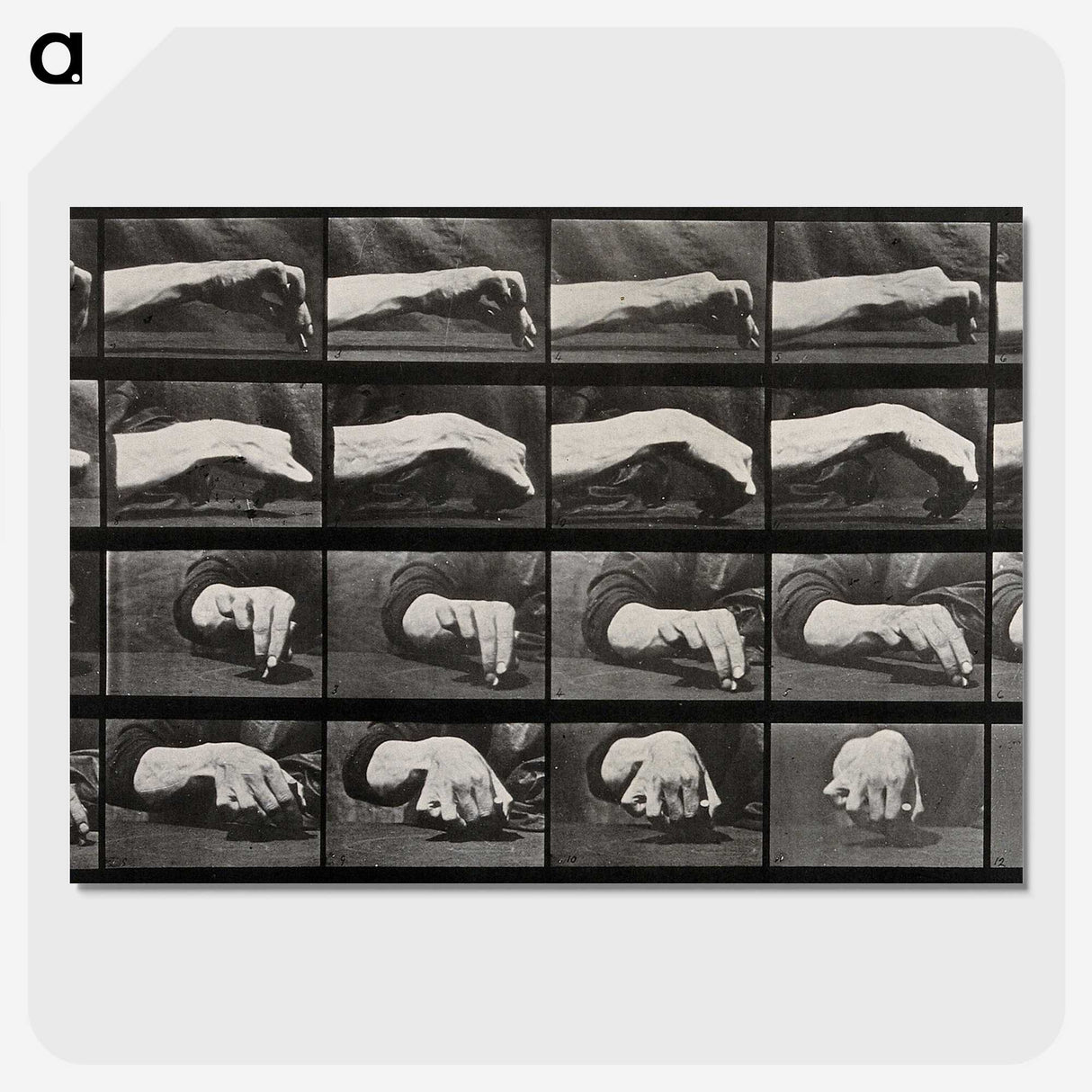 2-84_Eadweard-Muybridge_picture-crop