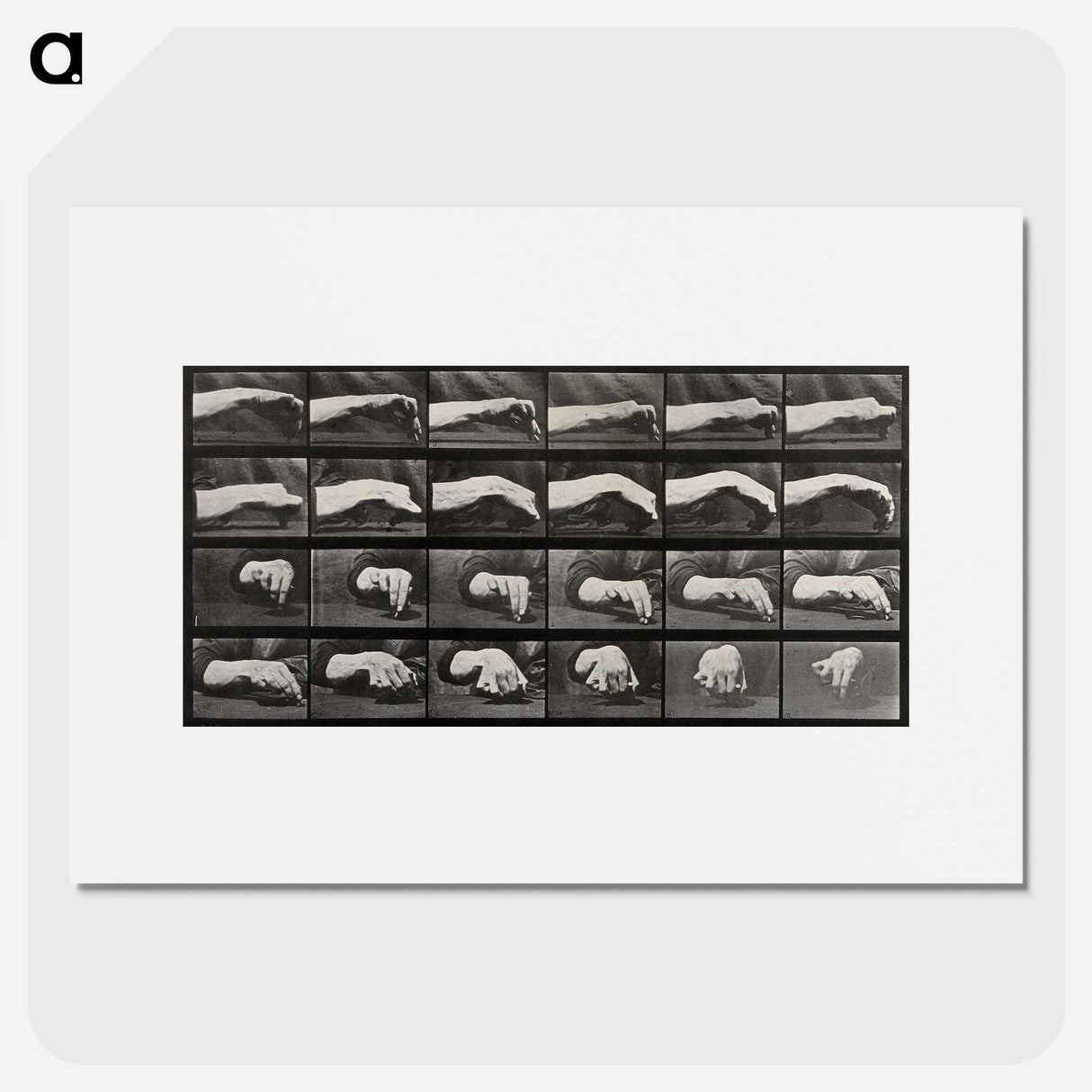 2-84_Eadweard-Muybridge_picture