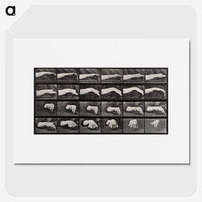 2-84_Eadweard-Muybridge_picture