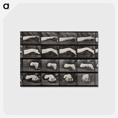 アートポストカード-Hand Drawing a Circle
 - エドワード マイブリッジ Postcard.