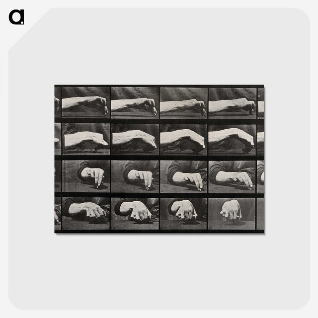 2-84_Eadweard-Muybridge_postcard