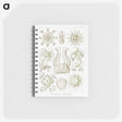2-84_Ernst-Haeckel_memo
