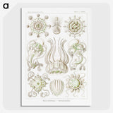 2-84_Ernst-Haeckel_picture-crop