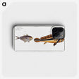 2-84_Ichtyologie-ou-Histoire-naturelle_phone