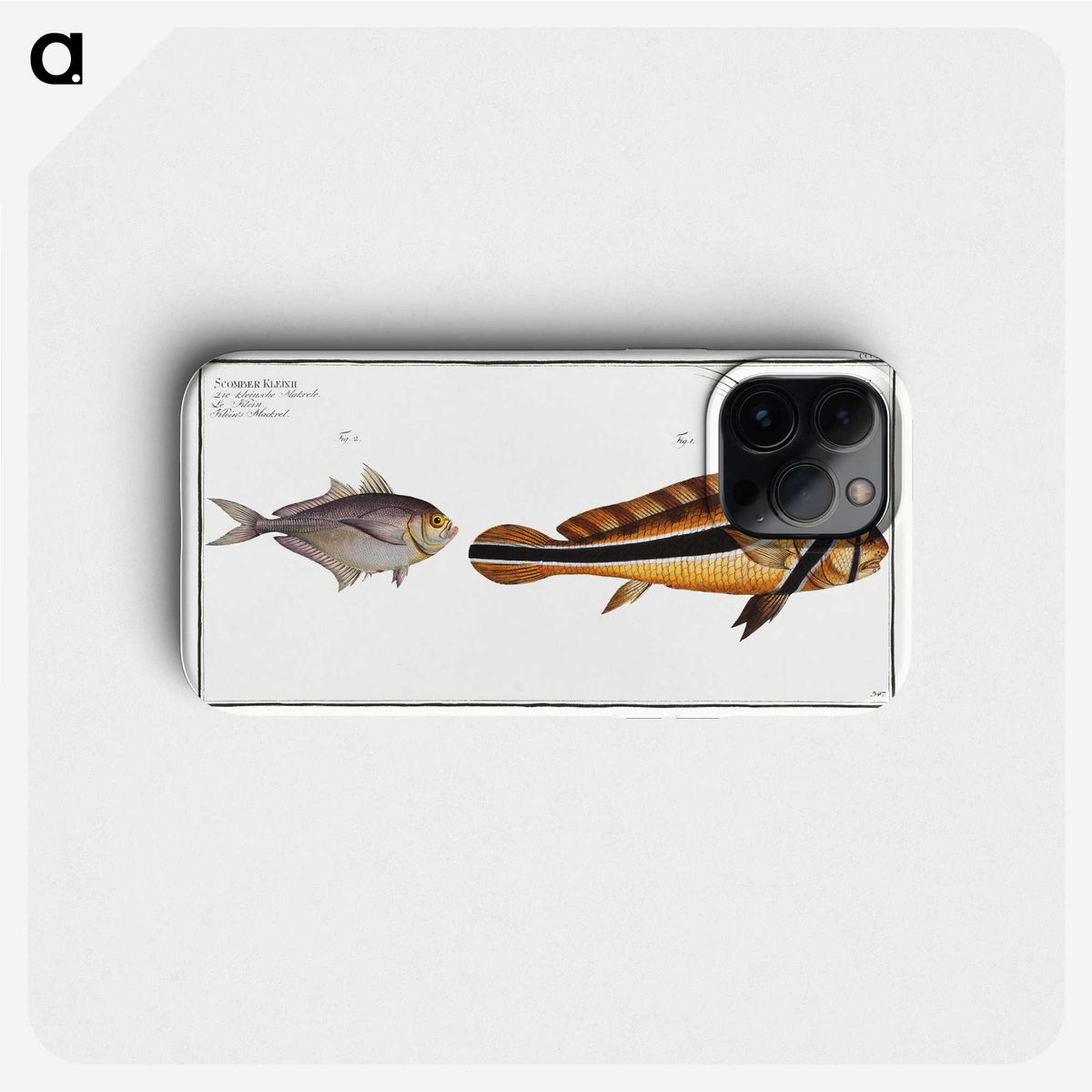 2-84_Ichtyologie-ou-Histoire-naturelle_phone