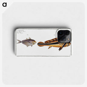 2-84_Ichtyologie-ou-Histoire-naturelle_phone