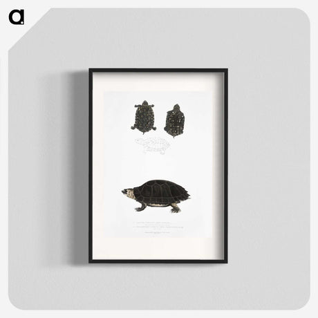2-84_Indian-Zoology_blk