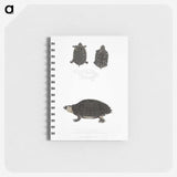 2-84_Indian-Zoology_memo