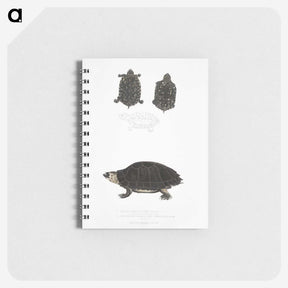 2-84_Indian-Zoology_memo