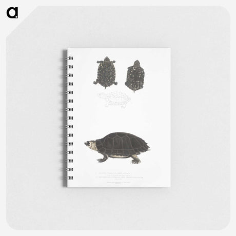 2-84_Indian-Zoology_memo