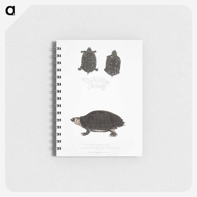 2-84_Indian-Zoology_memo