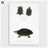 2-84_Indian-Zoology_picture-crop