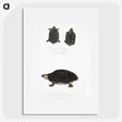 2-84_Indian-Zoology_picture