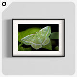 2-84_Insects-Unlocked-Project_blk