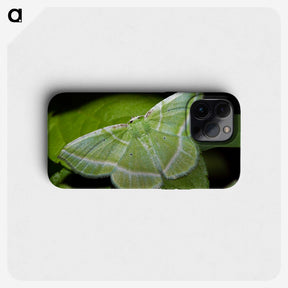 2-84_Insects-Unlocked-Project_phone