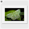 2-84_Insects-Unlocked-Project_picture